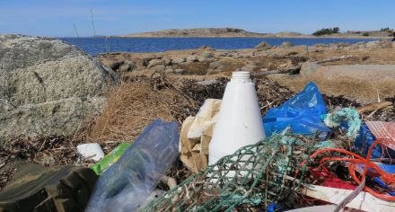 Plastflaskor och annat skräp på en strand på Bohuskusten
